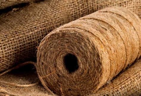 ¿Jute: Una Fibra Natural Ideal para la Producción de Textiles y Embalajes?