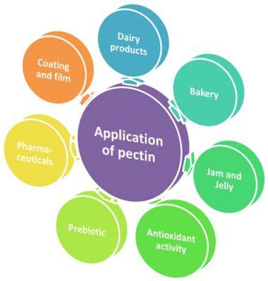  ¡Pectina en Alimentos y Productos Farmacéuticos: Una Mirada al Mundo Invisible de las Fibras Naturales!