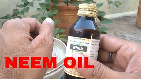  Neem Oil para la Fabricación de Productos de Cuidados Personales y Pesticidas Naturales!